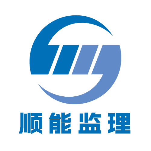 顺能项目管理logo