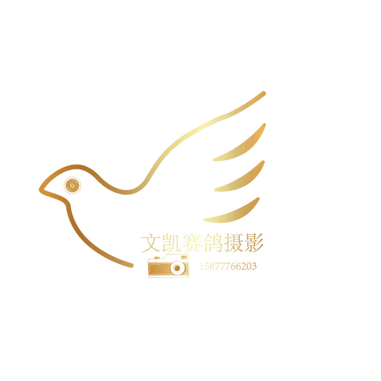 文凯赛鸽摄影logo