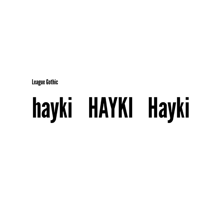 Haykilogo