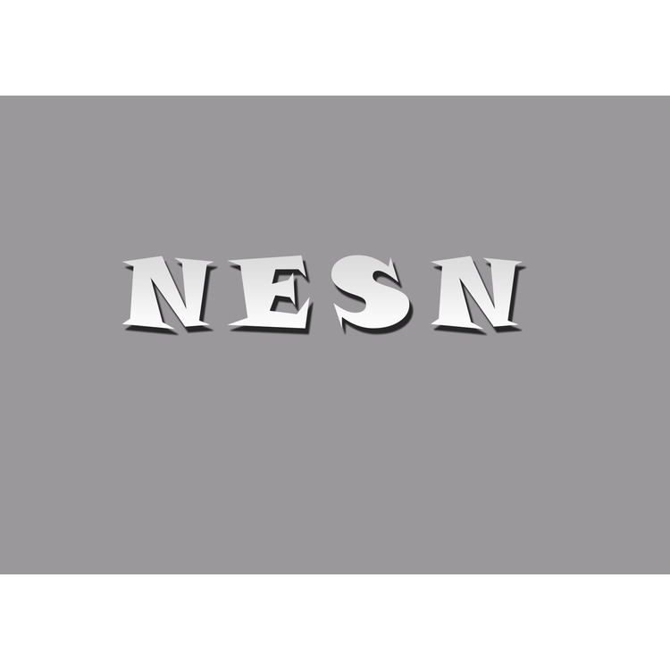 NESNlogo