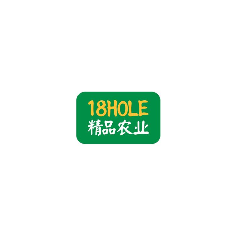 18HOLElogo