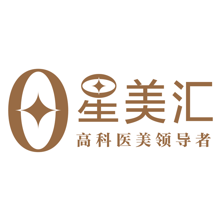 星美汇logo