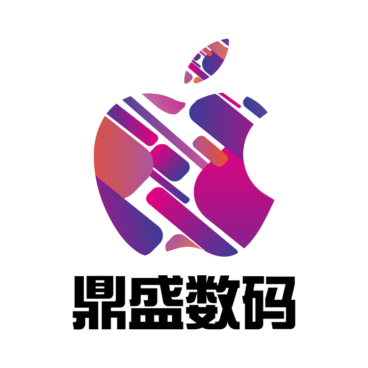 鼎盛数码logo