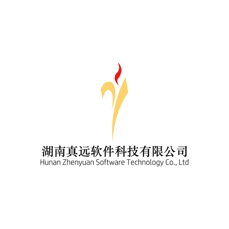 湖南真远软件科技有限公司logo