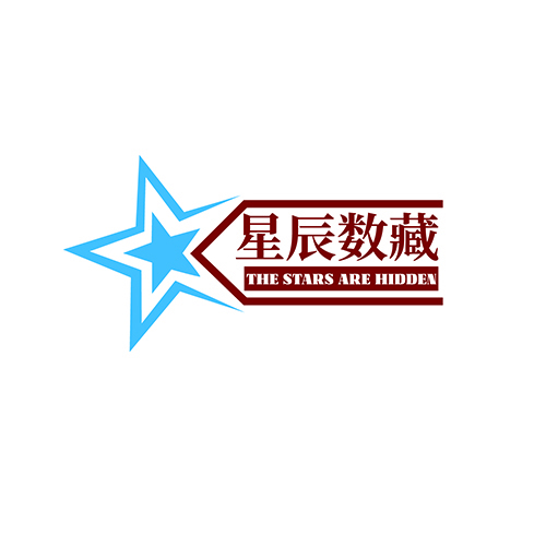 星辰數(shù)藏logo