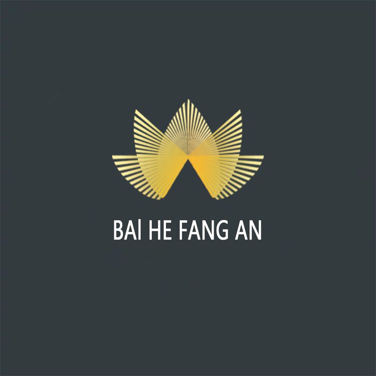 方案设计logo