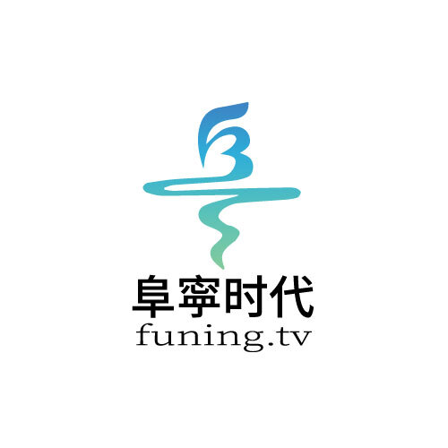 阜寜时代logo