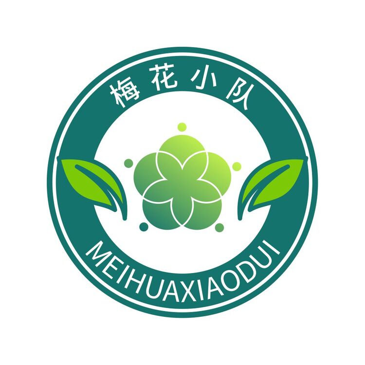 梅花小队logo