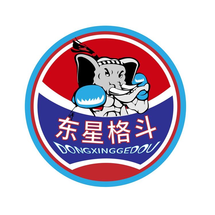 東星格斗logo