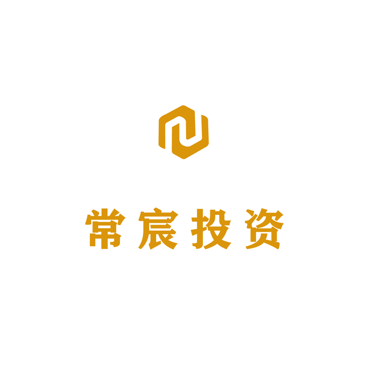 常宸投资logo