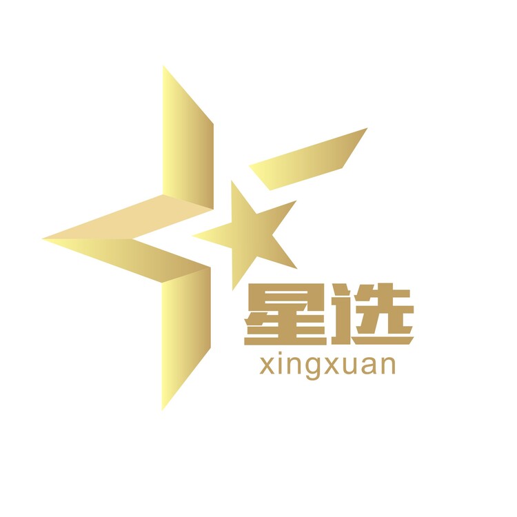 星选logo