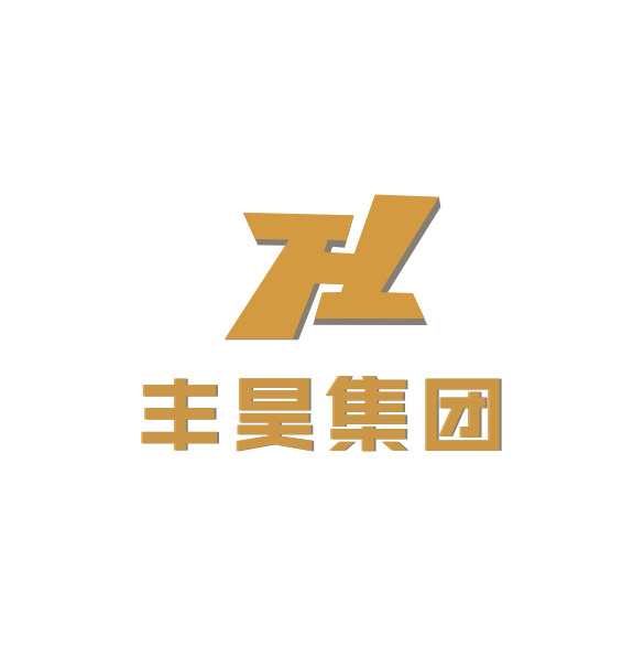 丰昊集团logo