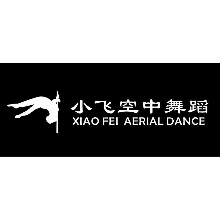 小飞空中舞蹈logo