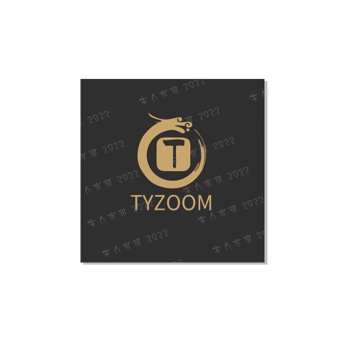 tyzoomlogo