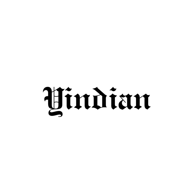 Yindianlogo