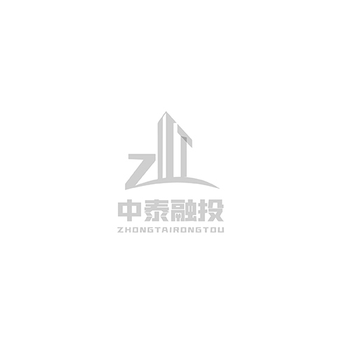 中泰融投logo