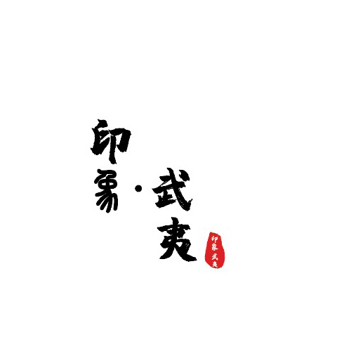 印象 武夷logo