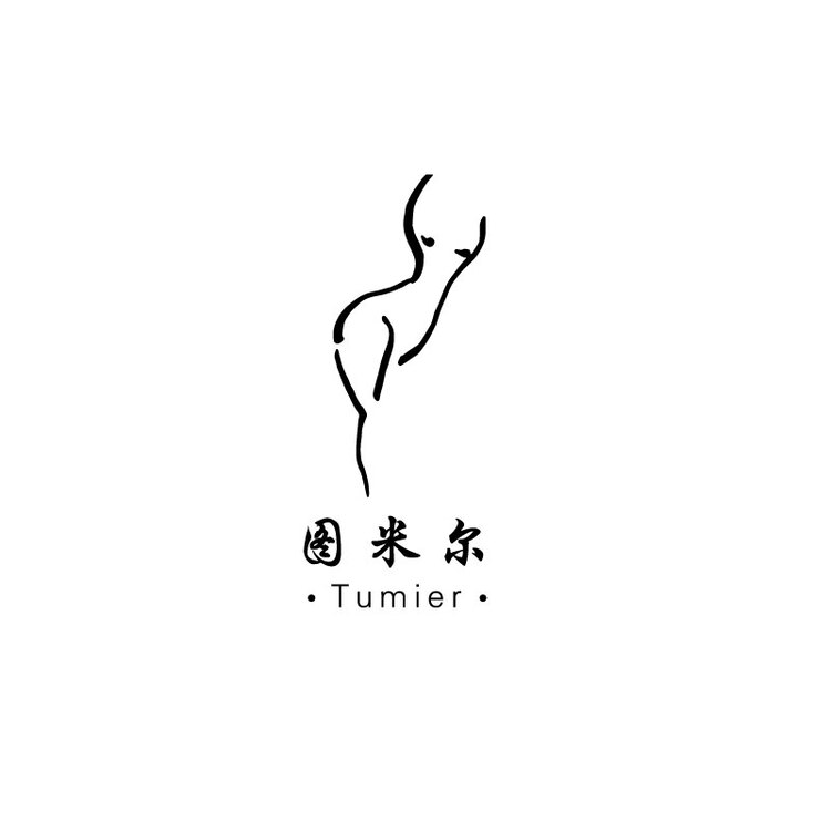 图米尔logo