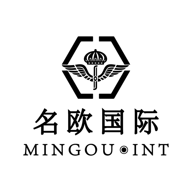 名欧国际logo