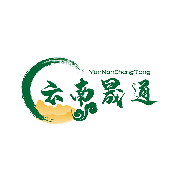 云南晟通logo